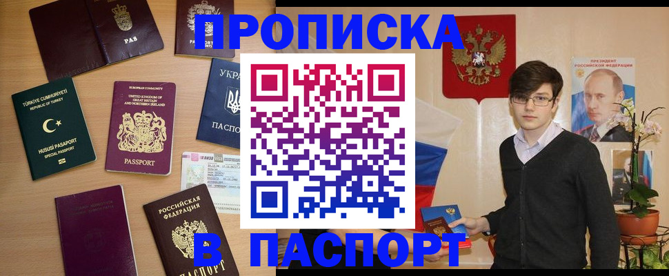 прописка 2025 в Тынде